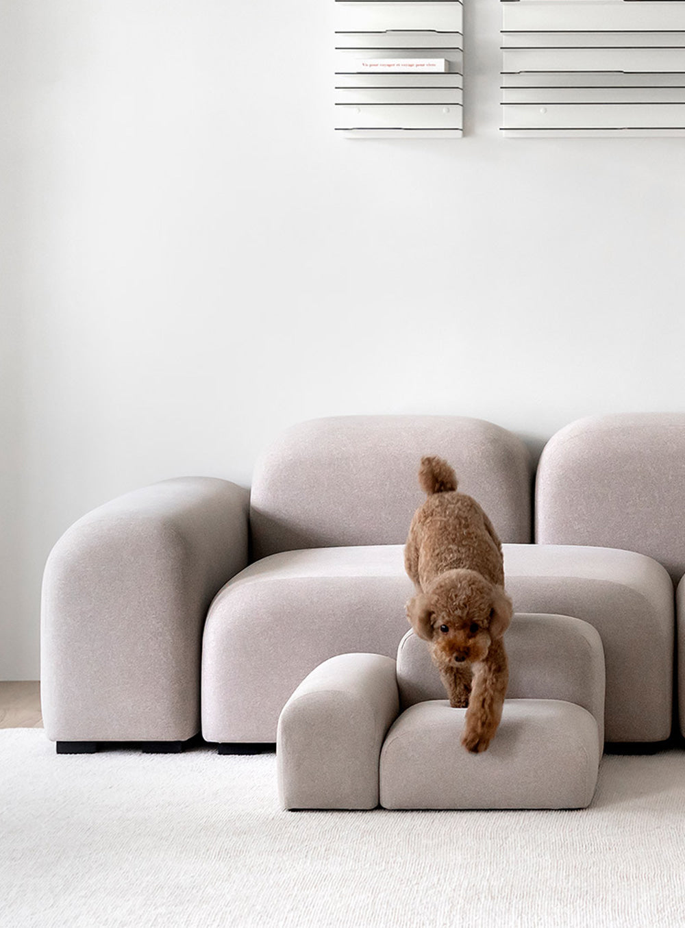 Pebble Pet Step
